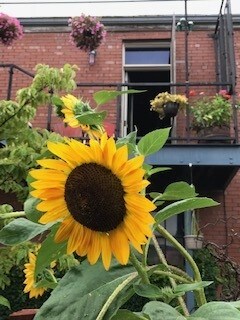 More Photos Of 502 N Hickory St, Champaign Research And Development For Sale