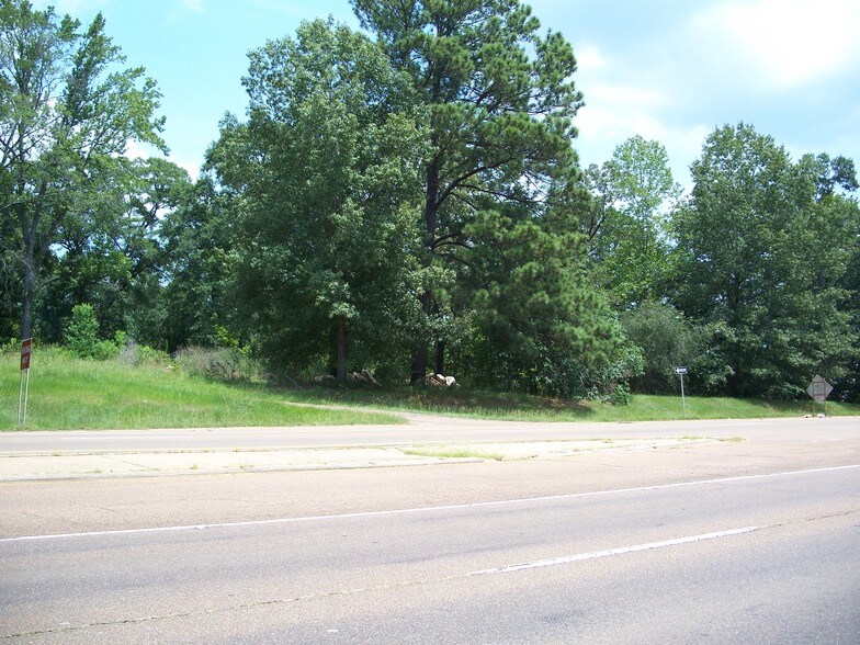 Primary Photo Of 5400 US Hwy 80, Pearl Land For Sale