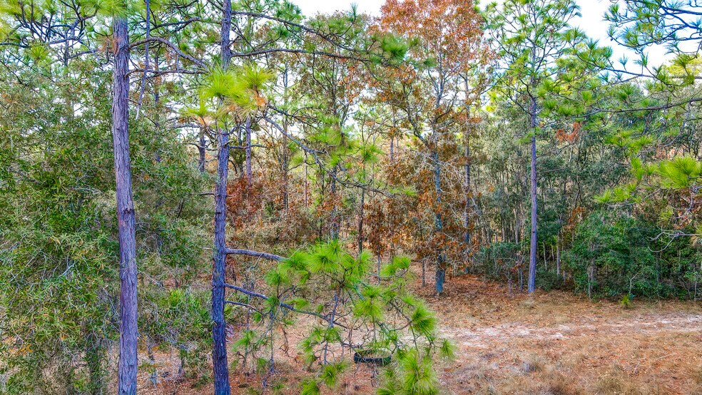 More Photos Of 0 US Highway 19, Brooksville Land For Sale