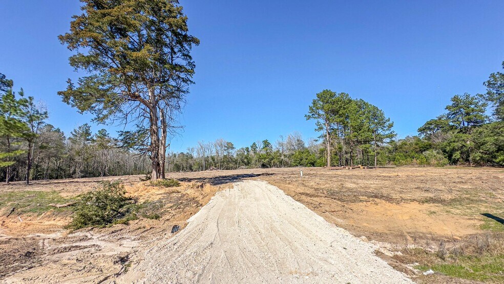 More Photos Of TBD Highway 105, Cleveland Land For Lease