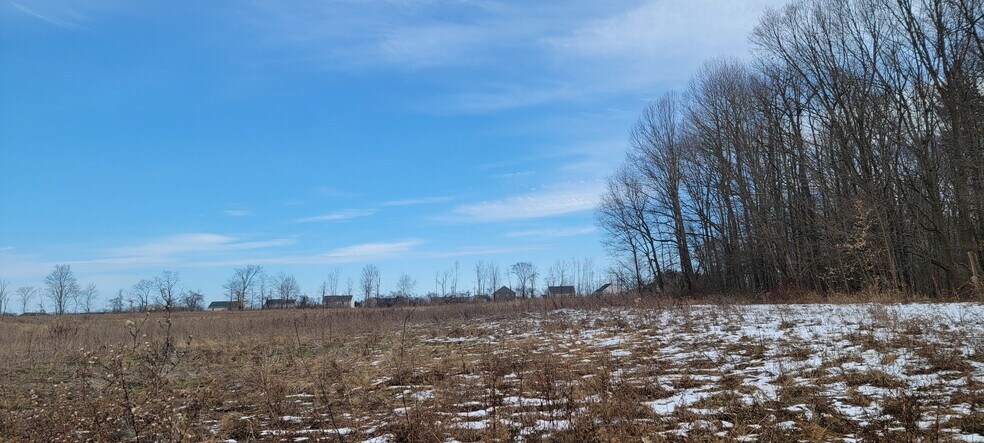 More Photos Of 6420 Lakeshore Rd, Cicero Land For Sale