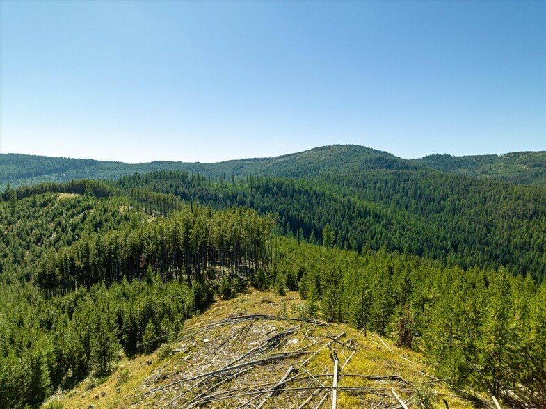 More Photos Of Nhn Logan Creek Road, Kila Land For Sale