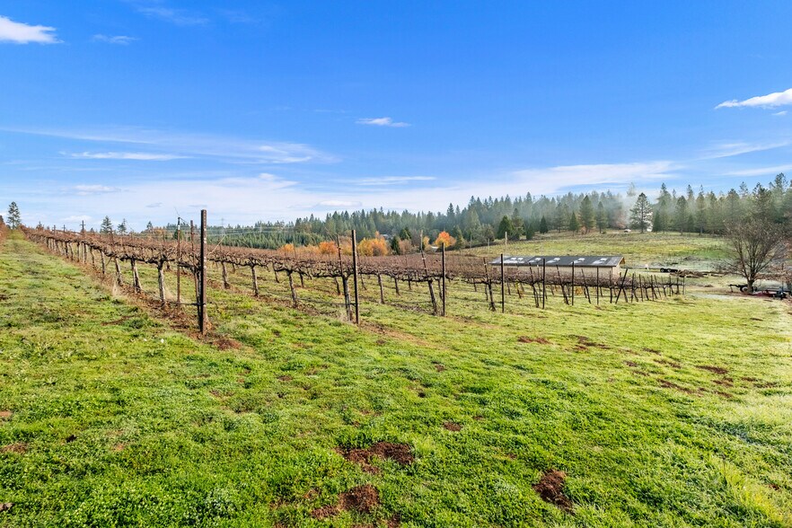 More Photos Of 2635 Cleese Rd, Camino Land For Sale