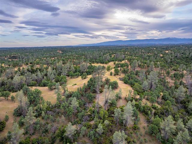 More Photos Of 14015 Hwy 36 W, Cottonwood Land For Sale