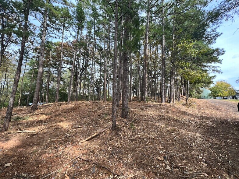 More Photos Of S Commerce @ Brandon St E, Overton Land For Sale