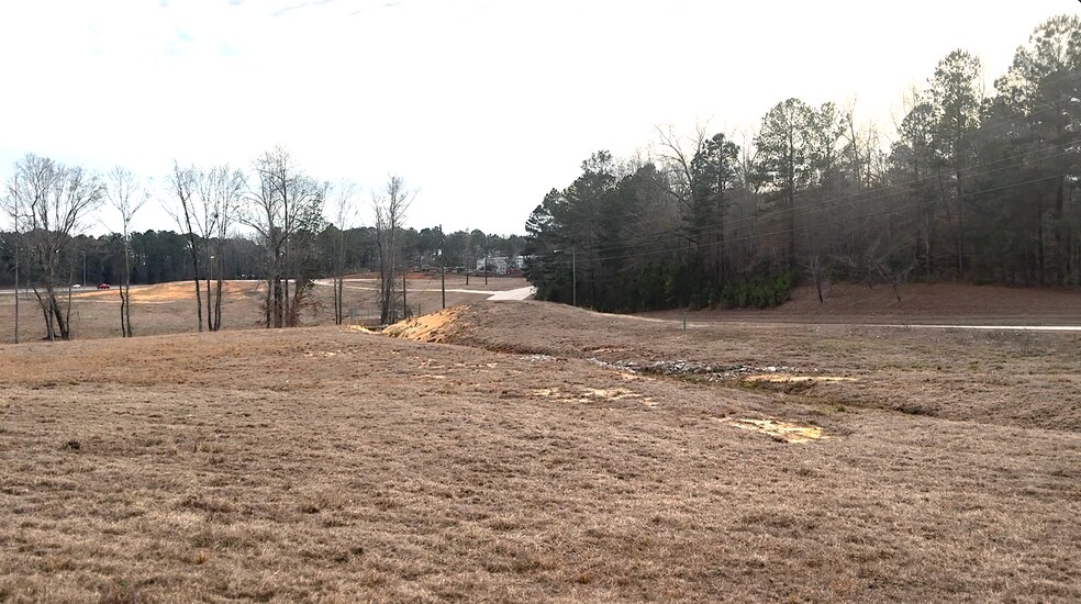 More Photos Of 3583 45th Street, SW, Lanett Land For Sale