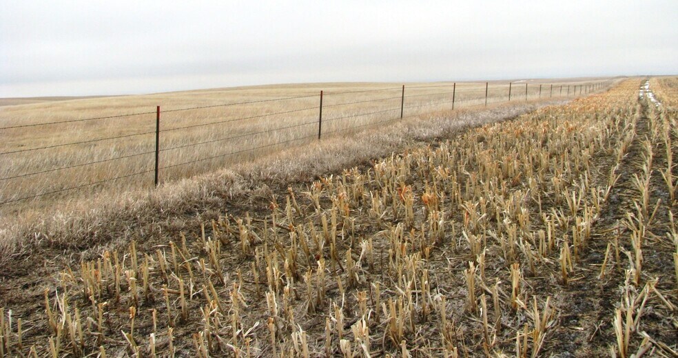 More Photos Of 27522 244th St, Murdo Land For Sale