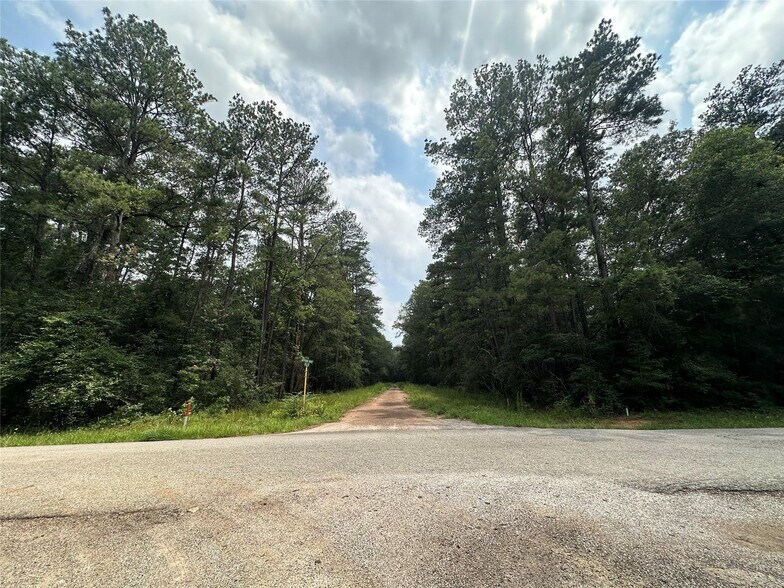 More Photos Of 19&20 Appian Way, New Caney Land For Sale