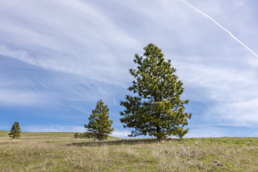 More Photos Of 60 Hartwig Road, Lyle Land For Sale