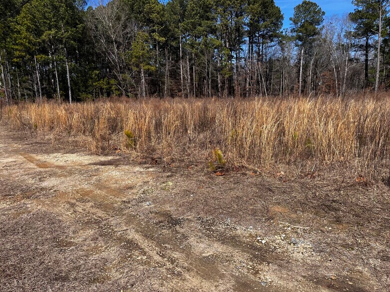 More Photos Of 1284 NC 50, Benson Land For Sale