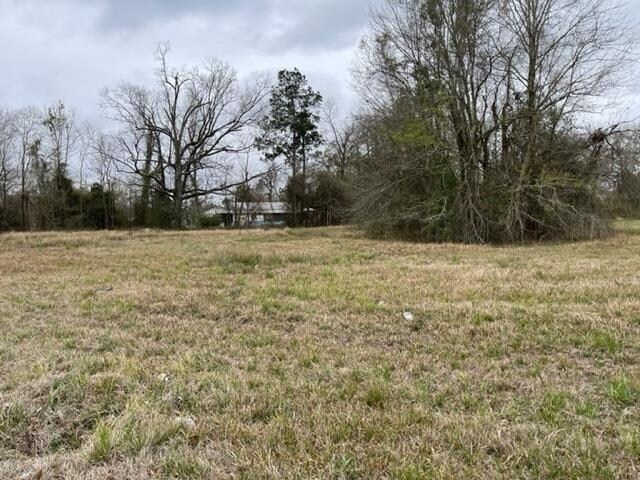 More Photos Of 5.432 AC IH 10, Orange Land For Sale