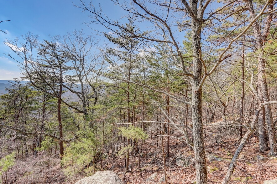 More Photos Of 1915 Tower Trl, Waleska Land For Sale