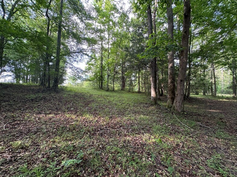 More Photos Of 4091 Hollonville Rd, Williamson Land For Sale