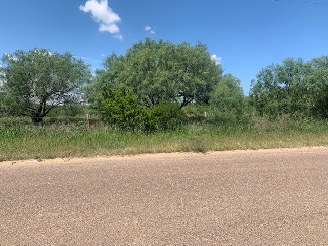 Primary Photo Of 398 Well Ln, Laredo Land For Sale