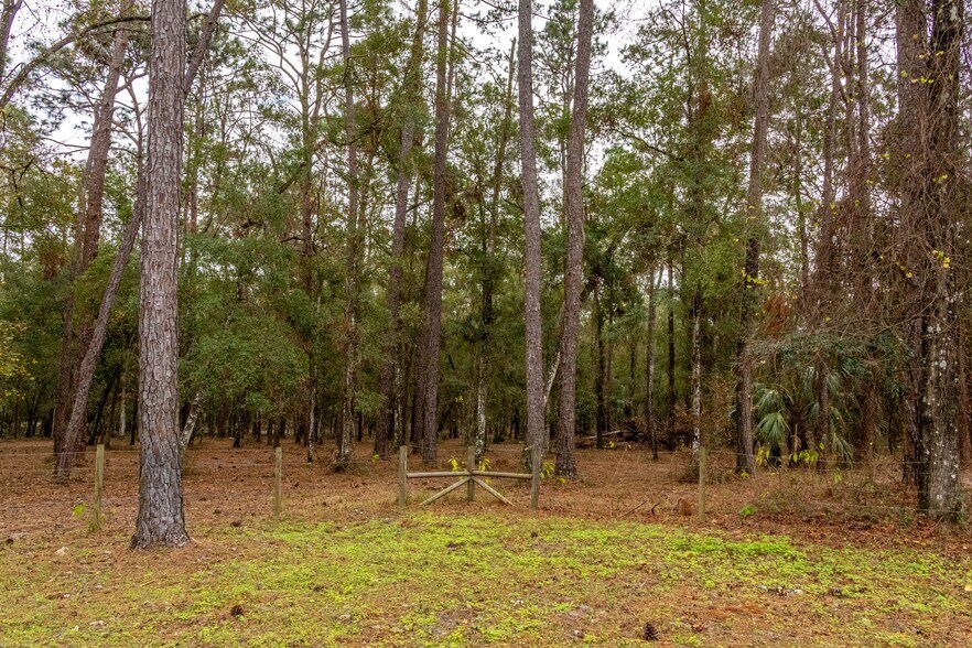 More Photos Of 24091 Richbarn Rd, Brooksville Land For Sale