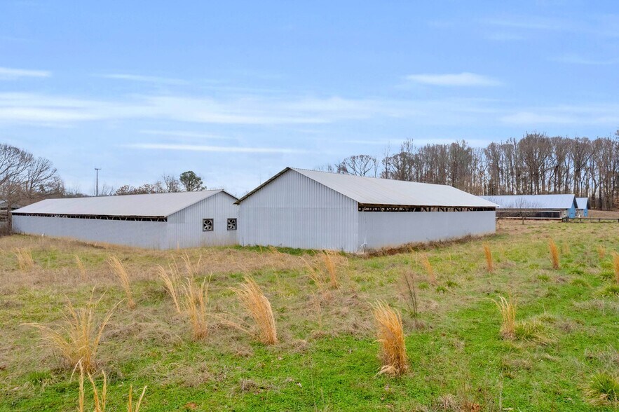 More Photos Of Chatham Rd, Homer Land For Sale