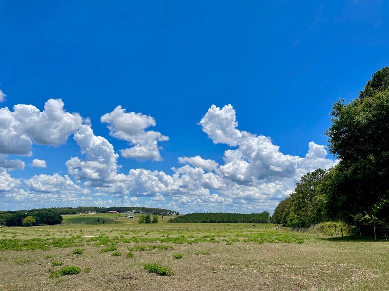 More Photos Of 0 Parrish Grove Rd, Dade City Land For Sale