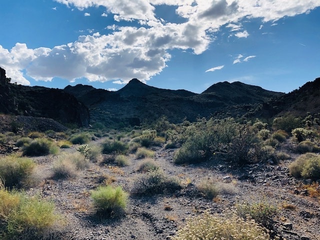 Primary Photo Of State Road 165 @ Nelson, Nelson Land For Sale