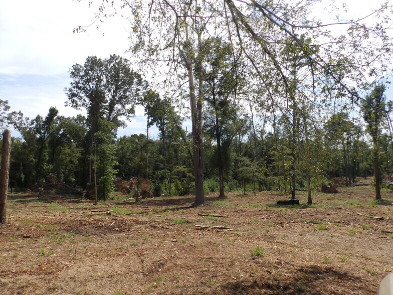 More Photos Of 16393 Highway 31, Tyler Land For Sale