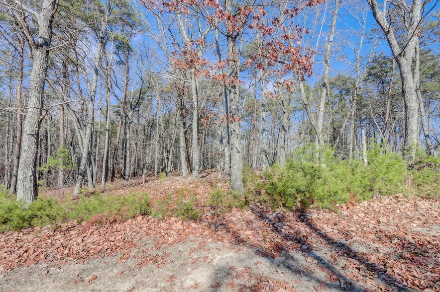 More Photos Of 1915 Tower Trl, Waleska Land For Sale