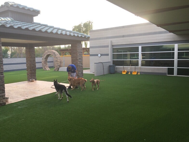 More Photos Of 8028 W Thunderbird Rd, Peoria Veterinarian Kennel For Lease