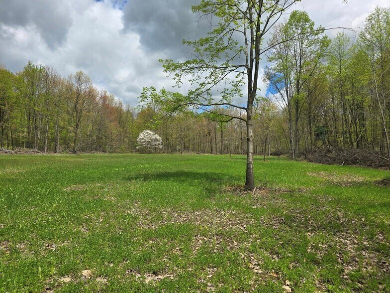 More Photos Of 0 Lower Mudlic rd, Mayport Land For Sale