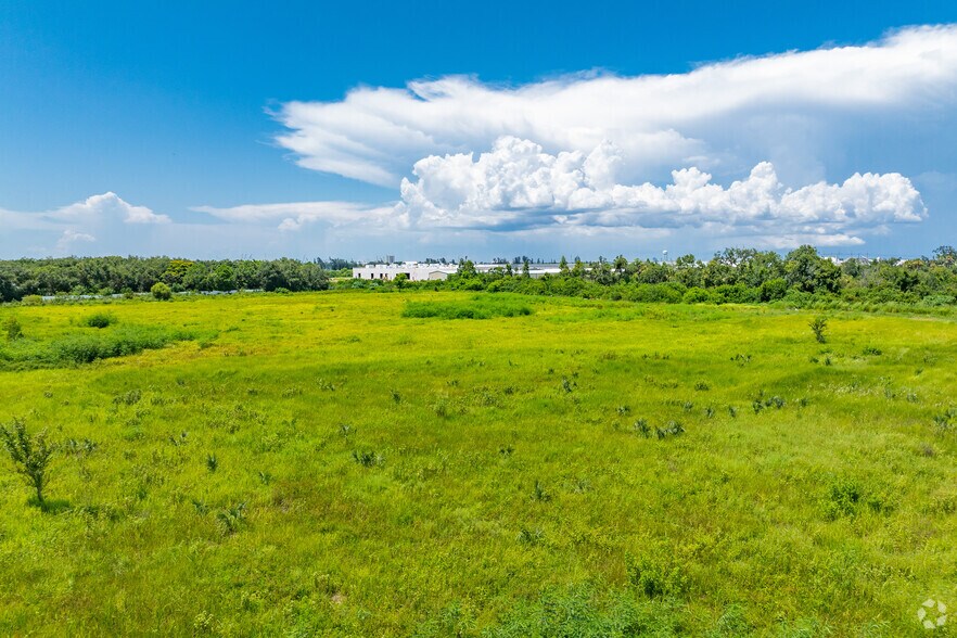 More Photos Of , Palmetto Land For Sale