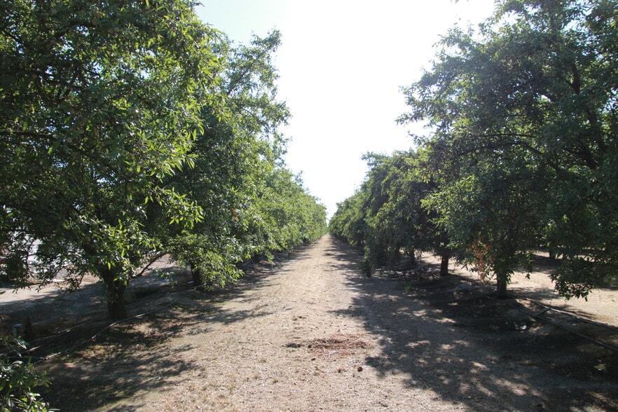 More Photos Of 18045 Magnolia Ave, Shafter Land For Sale