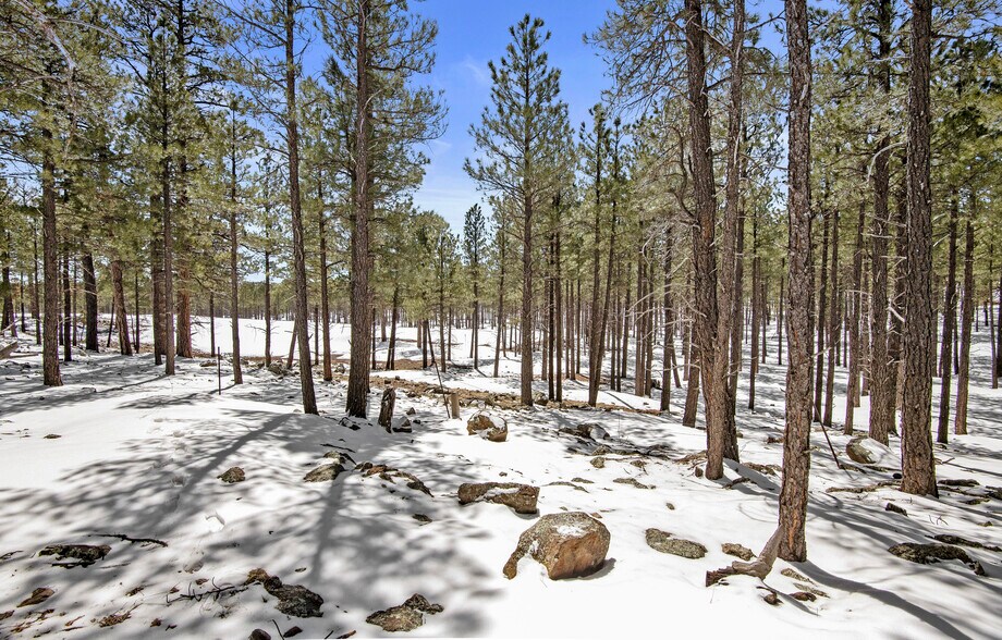 More Photos Of 0 Route 66, Flagstaff Land For Sale