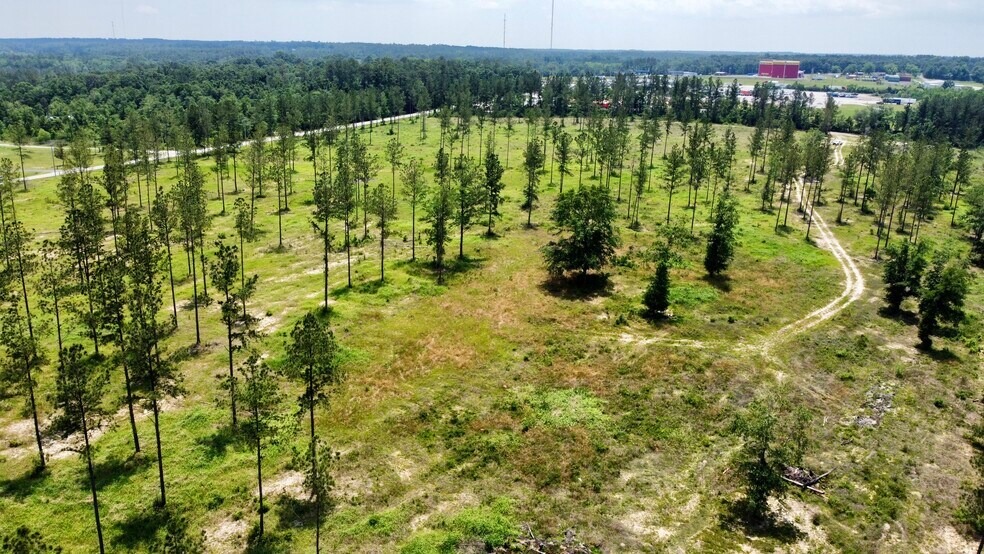 More Photos Of County Road 64, Robertsdale Land For Sale