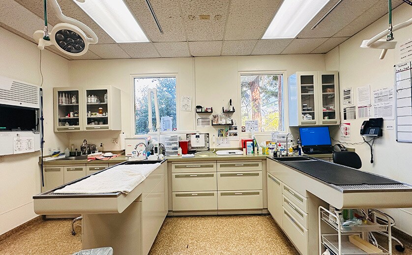 More Photos Of 2460 W El Camino Real, Mountain View Office For Lease