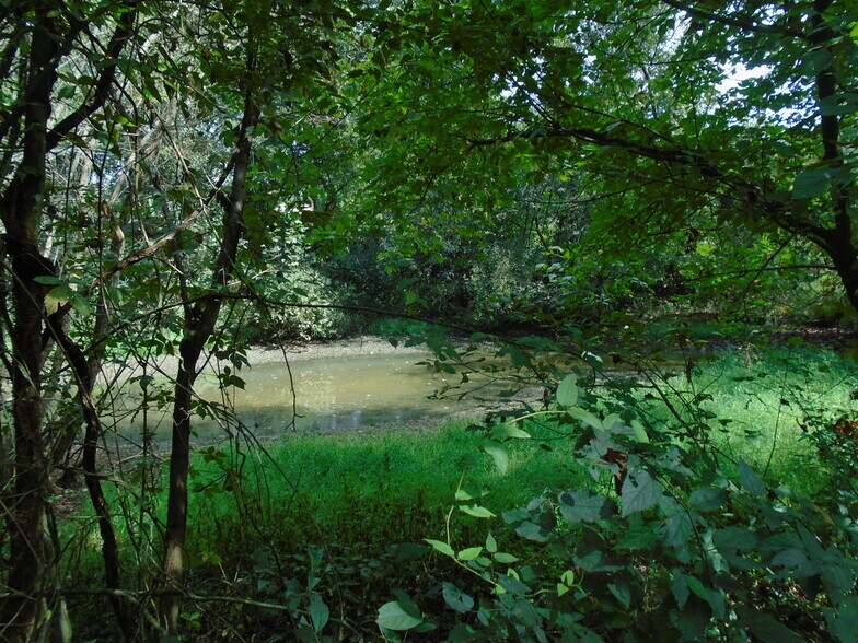 More Photos Of 212 Dunlap Hollow, Friendsville Land For Sale