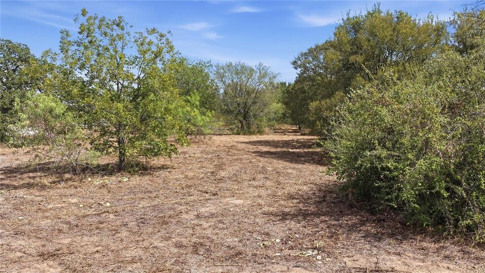 More Photos Of TBD HWY 304, Bastrop Land For Sale