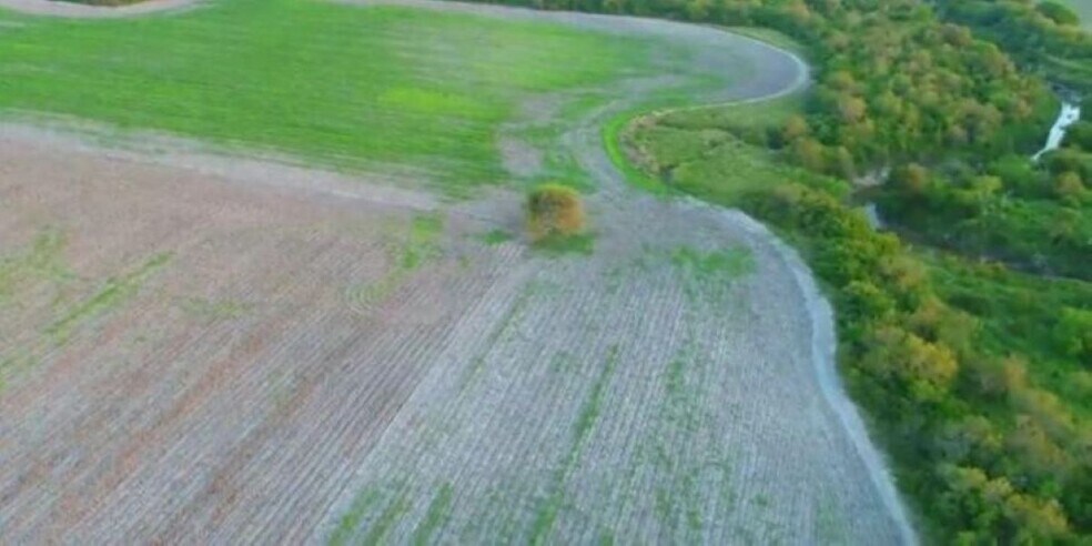 More Photos Of 0 CR 20, Petronila Land For Sale