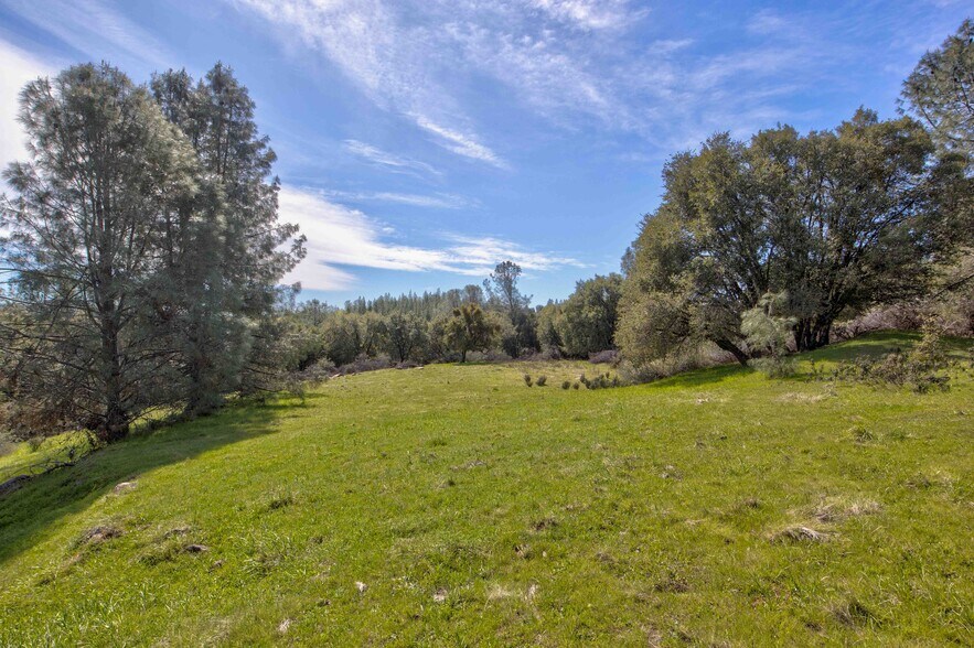 More Photos Of 18800 Charleston Rd, Volcano Land For Sale