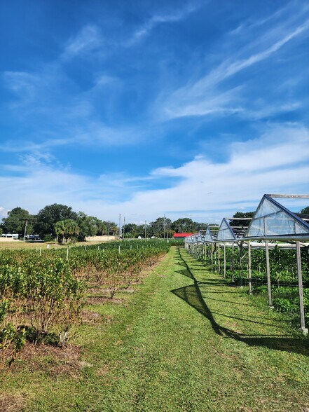 More Photos Of 3510 Walk in Water Rd, Lake Wales Winery Vineyard For Sale