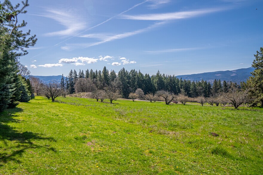 More Photos Of SW Cherry Blossom Lane @ Eyrie, White Salmon Land For Sale