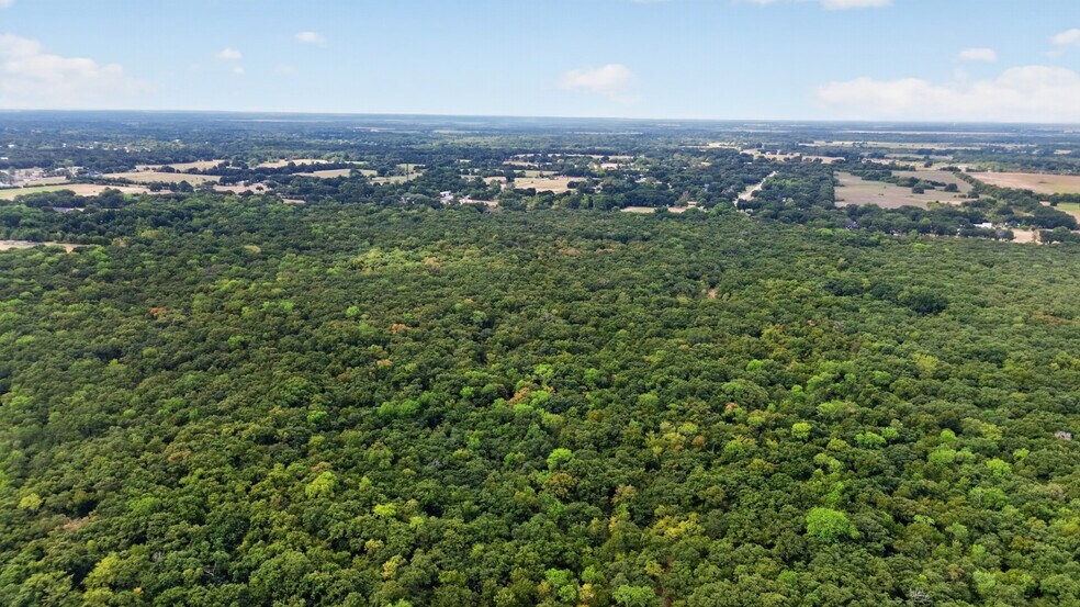More Photos Of FM Road 1389, Combine Land For Sale