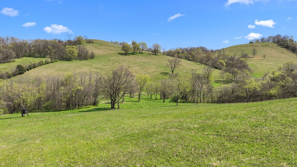 More Photos Of 0 McLaughlin Rd, Shelbyville Land For Sale