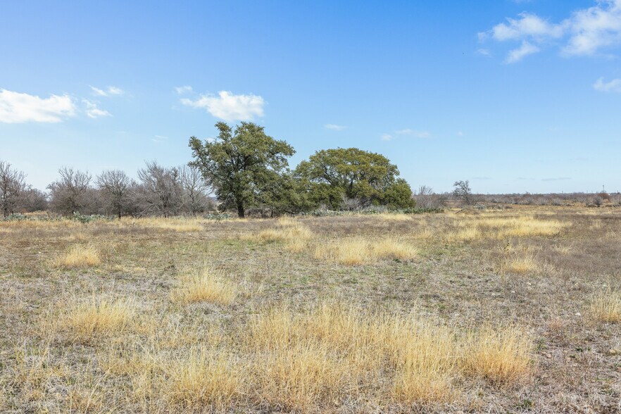 More Photos Of 2884 Political Rd, Lockhart Land For Sale