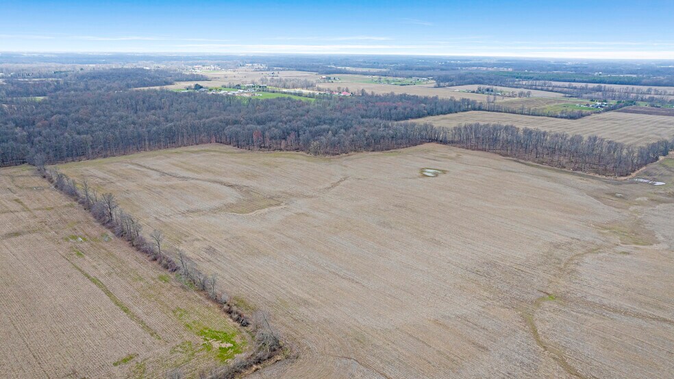 More Photos Of County Road 60 Rd @ County Road 56, Saint Joe Land For Sale