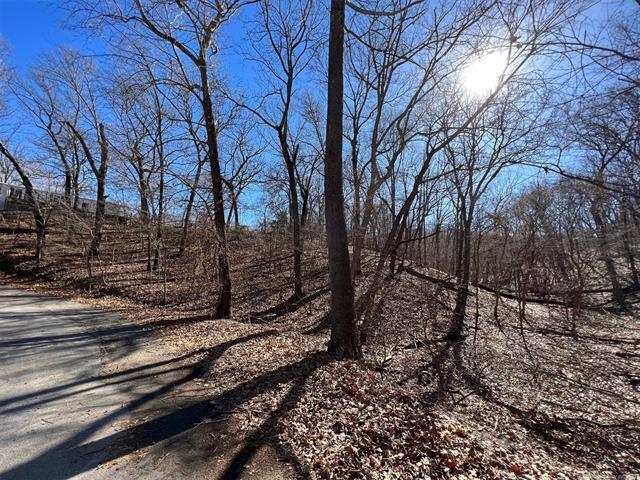 More Photos Of 450630 S Old Mill Road, Afton Trailer Camper Park For Sale