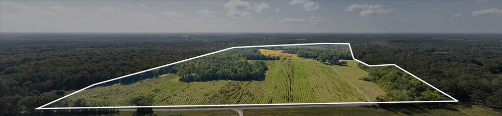 More Photos Of 667 Hustle Rd, Hustle Winery Vineyard For Sale