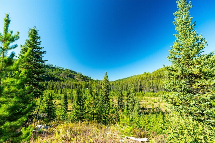 More Photos Of Nhn Logan Creek Road, Kila Land For Sale