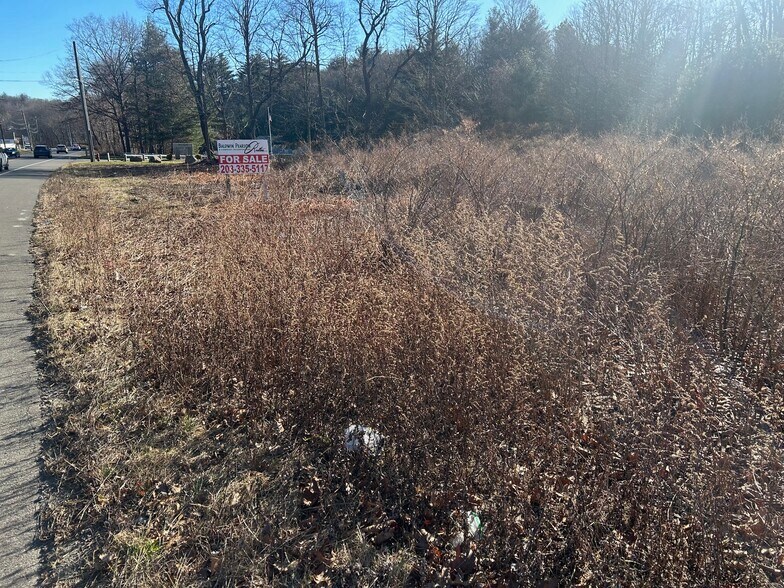 More Photos Of 288 S Main St, Newtown Land For Sale