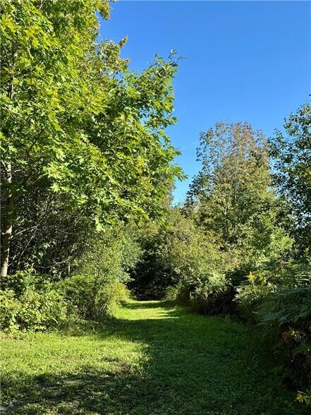 More Photos Of 175 Hovick Rd, Hartwick Land For Sale