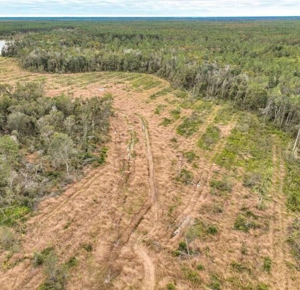 More Photos Of County Road 133, Willacoochee Land For Sale
