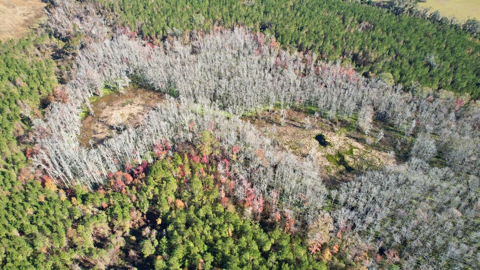 More Photos Of , Tallahassee Land For Sale