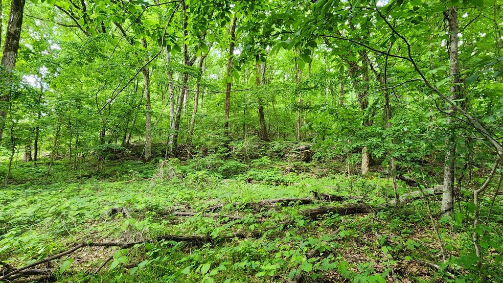 More Photos Of Near 5370 Deerfoot Parkway Pky, Trussville Land For Sale
