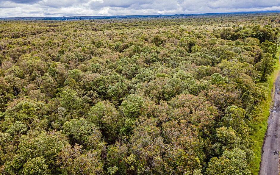 More Photos Of Mauna Loa Dr, Volcano Land For Sale